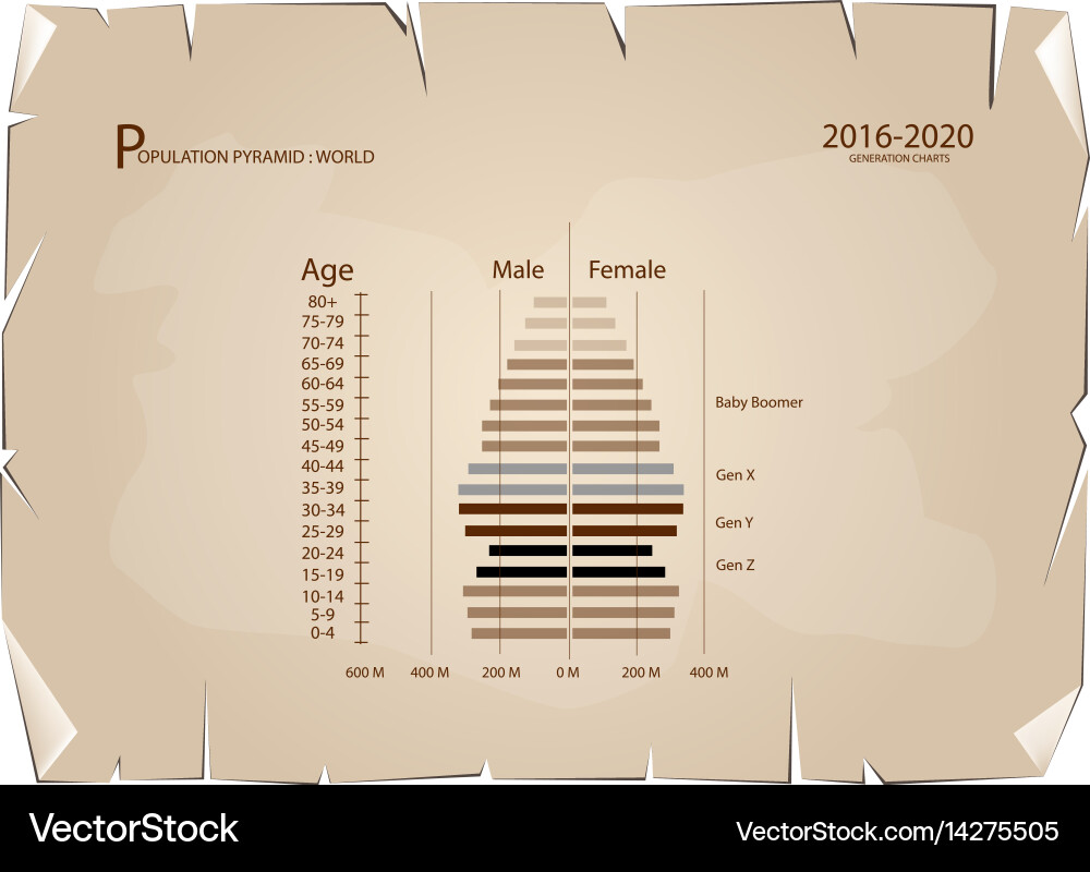 2016-2020 population pyramids graphs with 4 genera Vector Image
