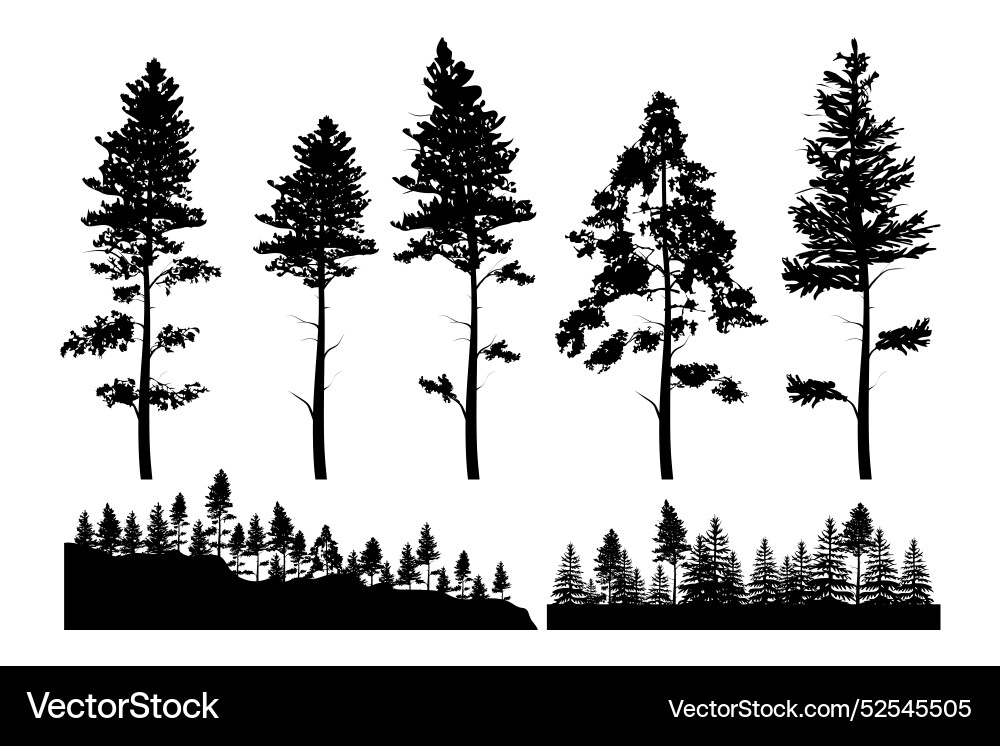 Silhouettes of pine trees elements collections Silhouettes of pine trees elements collections vector image
