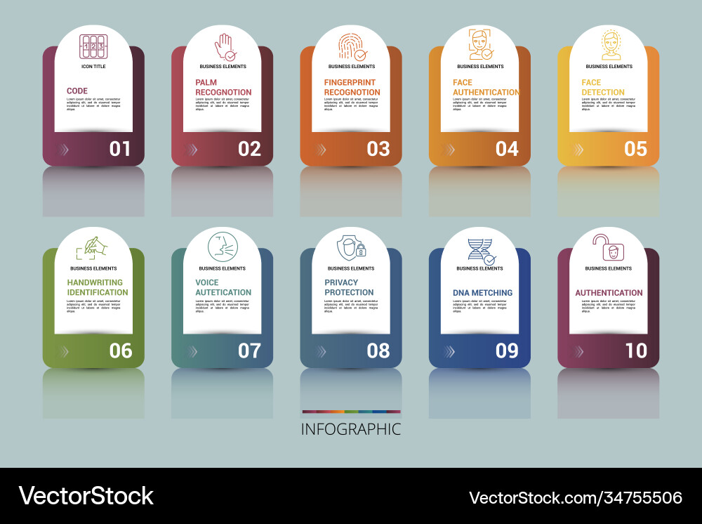 Infographic authentication template icons Vector Image