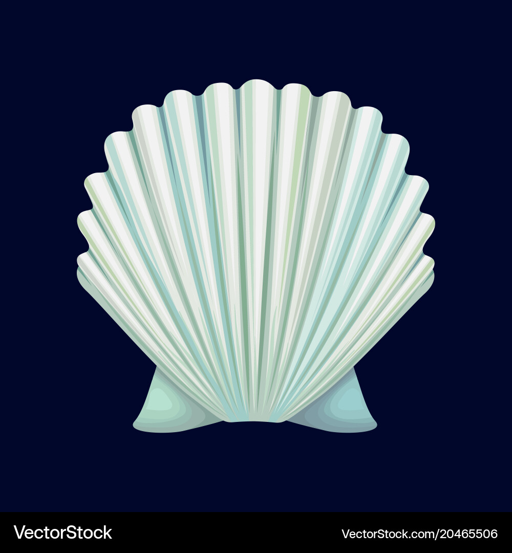 Isolated Empty Seashell Vector Image