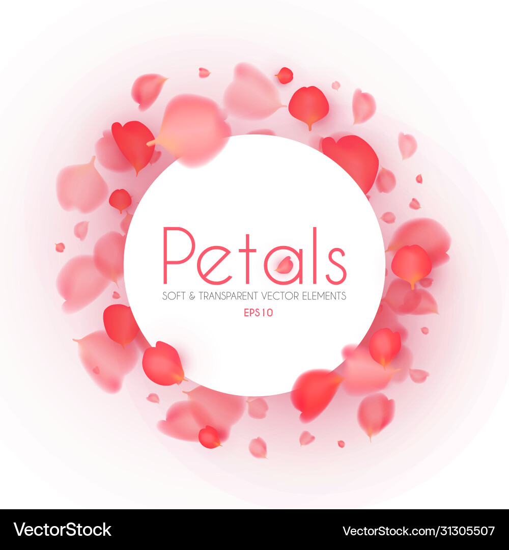 Flying petals banner cosmetics wedding Flying petals banner cosmetics wedding vector image