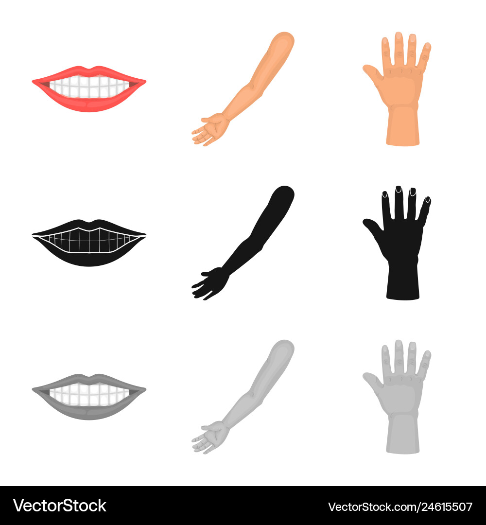 Isolated object of body and part sign set Isolated object of body and part sign set Vector Image