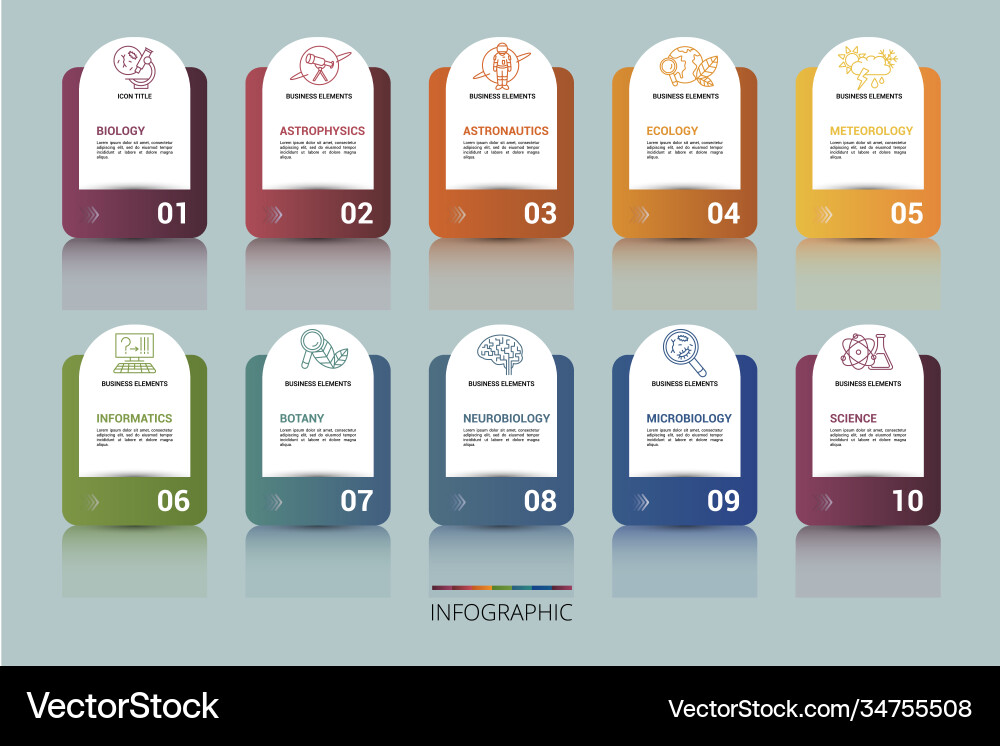 Infographic science template icons in different Infographic science template icons in different vector image