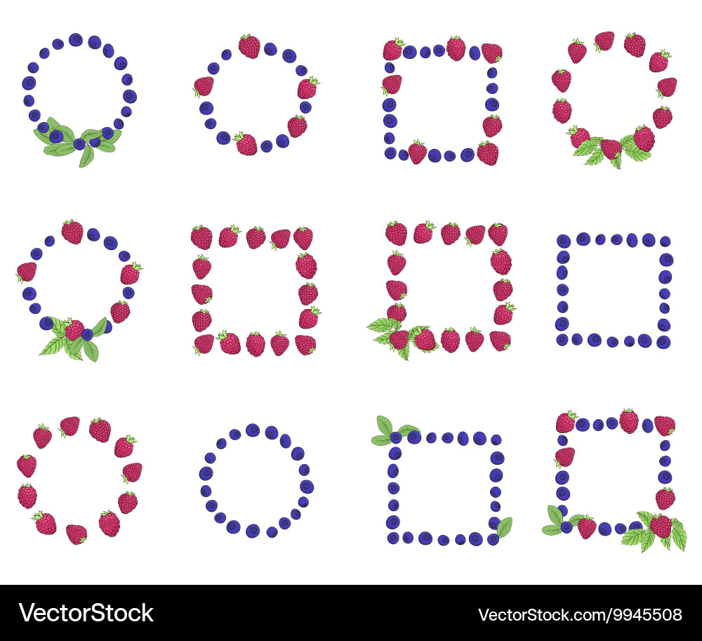 Set of frames from the berries Vector Image