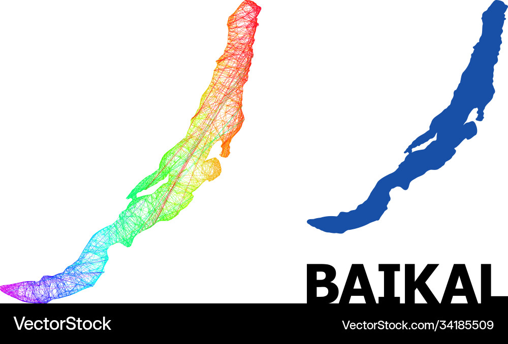 Network map baikal with spectrum gradient Vector Image