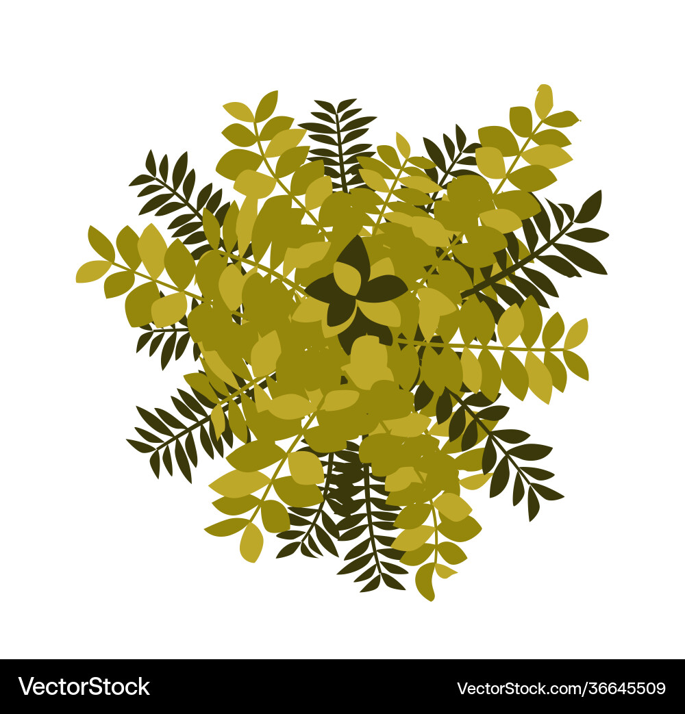Tree top view easy to use in your landscape Tree top view easy to use in your landscape vector image