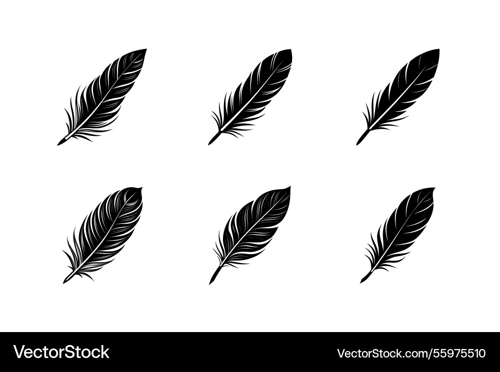 Editable feather element set Vector Image