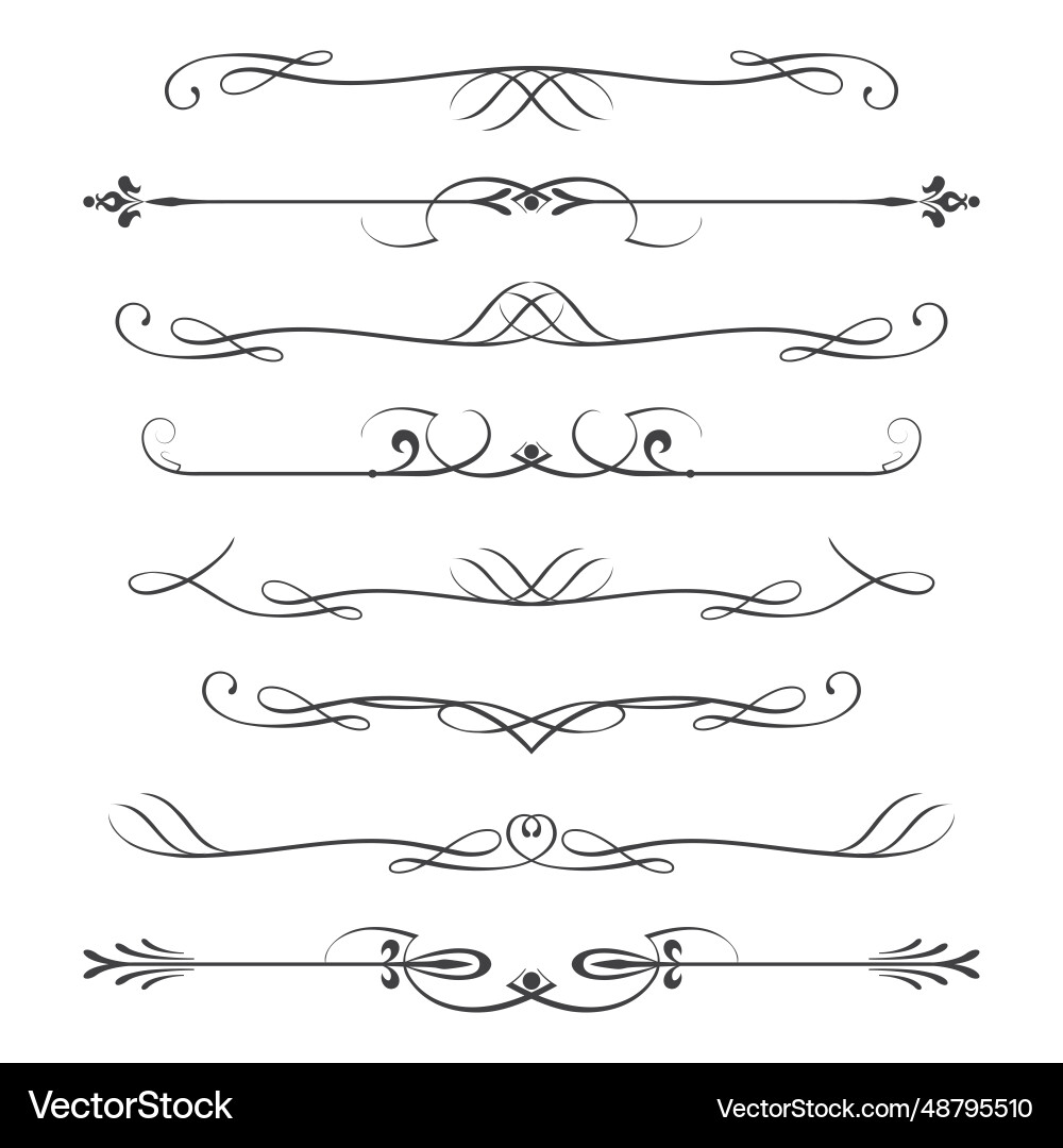 Set of calligraphic design elements- dividersthin Set of calligraphic design elements- dividersthin Vector Image