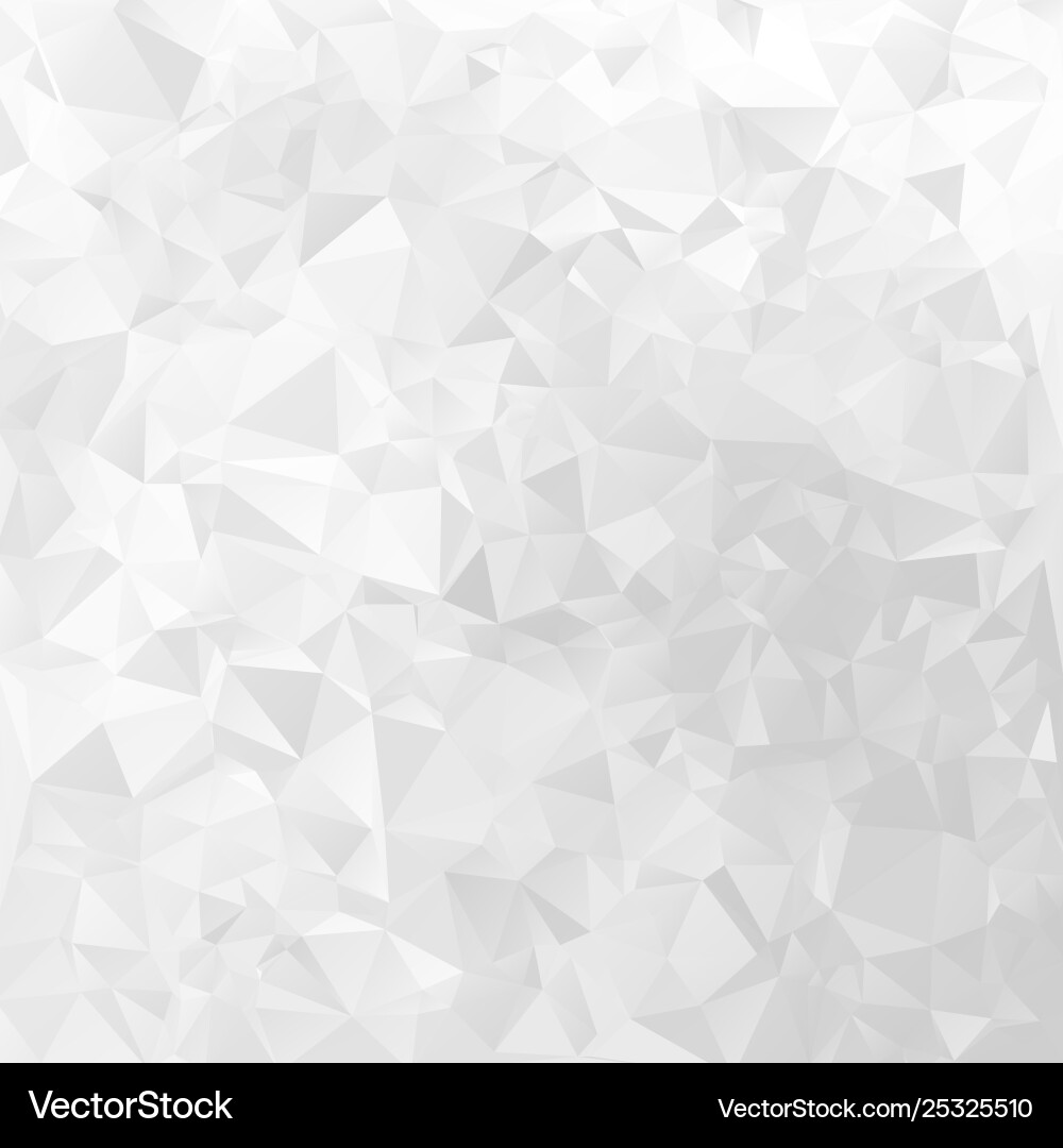 White Triangular Geometric Background vector image