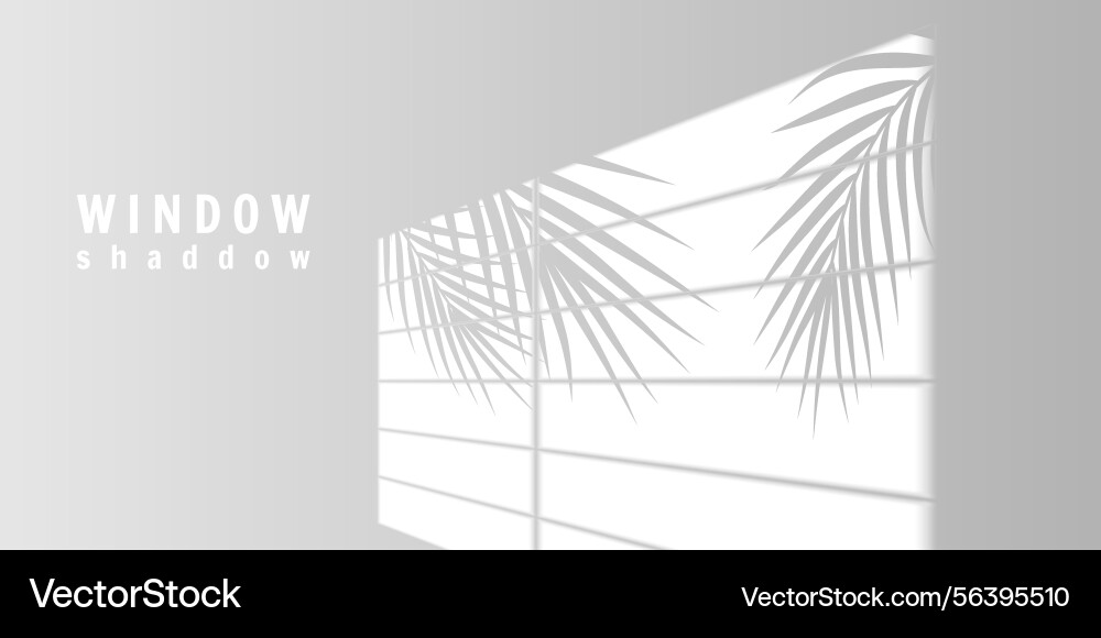 Window light shadow with palm leaf reflection Vector Image