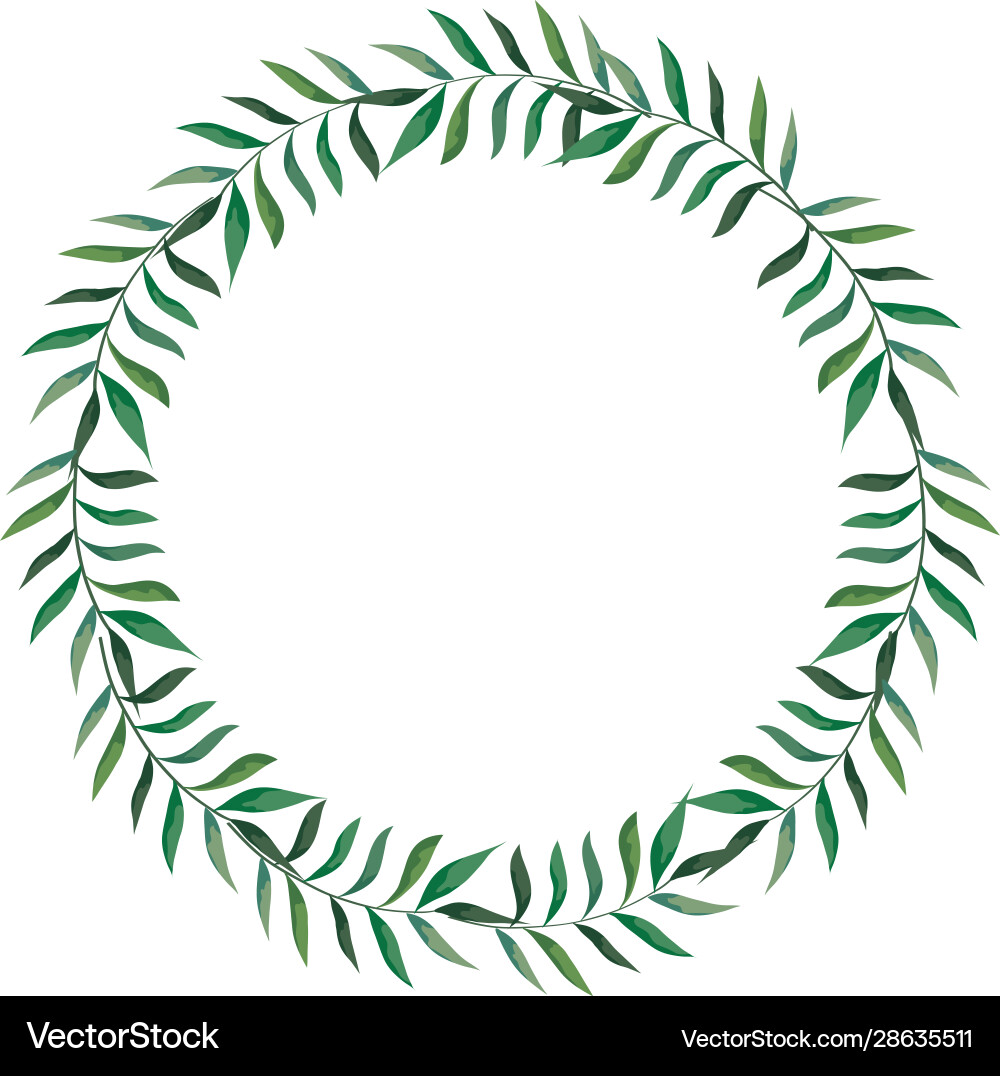 Frame circular branches with leafs vector image