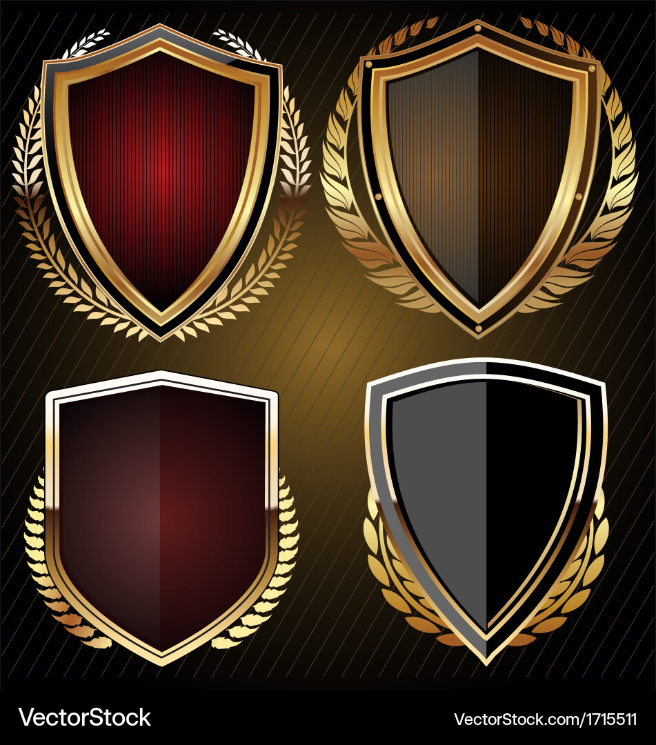 Modern Shield Set vector image