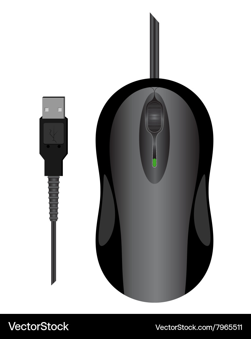 Mouse computer usb connection Vector Image