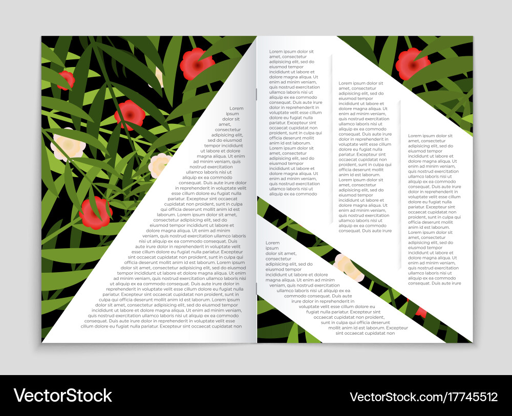 Abstract layout background set for art Vector Image