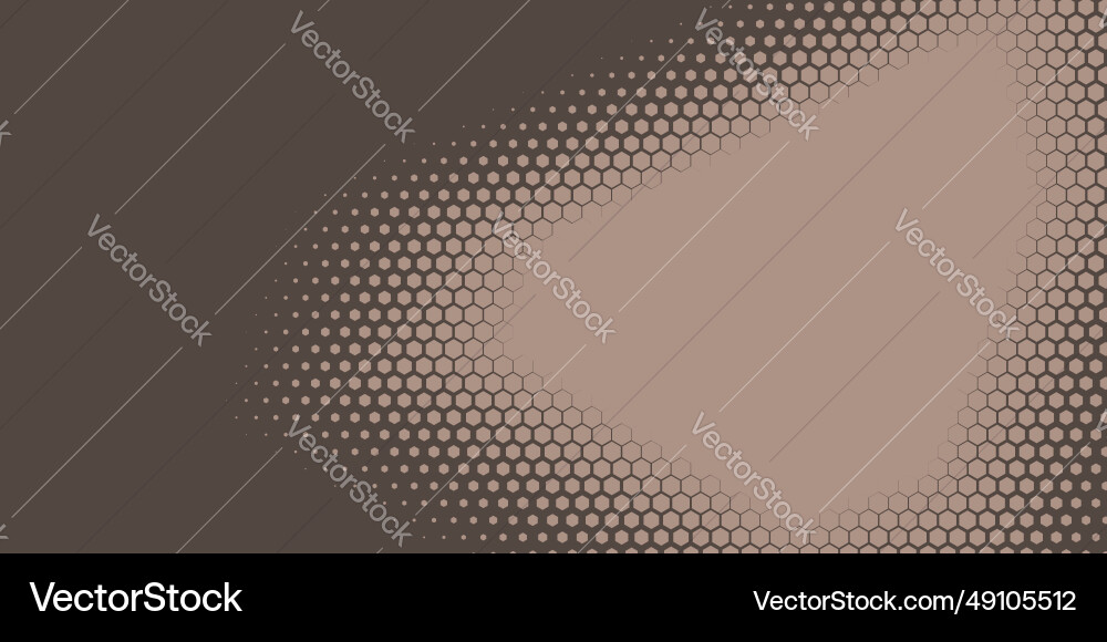 Geometric abstract hexagon two color background Vector Image