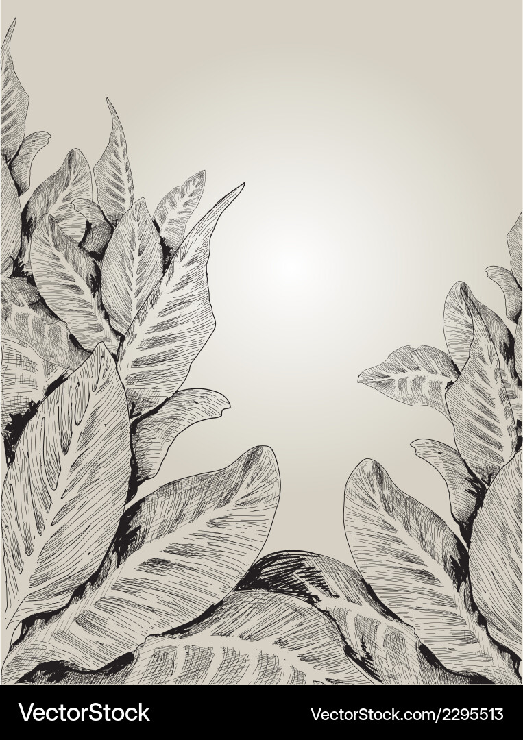 Leaves Royalty Free Vector Image - VectorStock