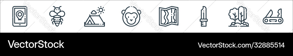 Jungle line icons linear set quality Vector Image