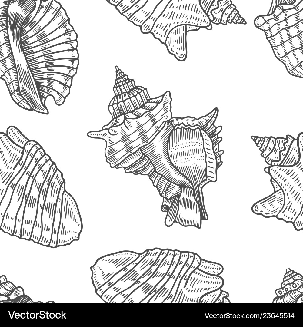 Seashells seamless pattern Seashells seamless pattern Vector Image