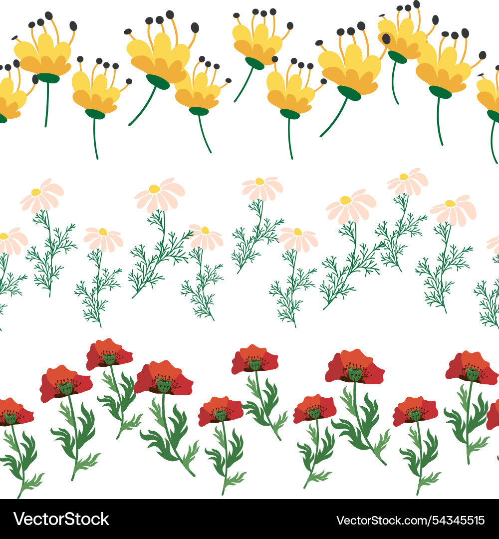 Chamomile horizontal border seamless pattern Chamomile horizontal border seamless pattern Vector Image