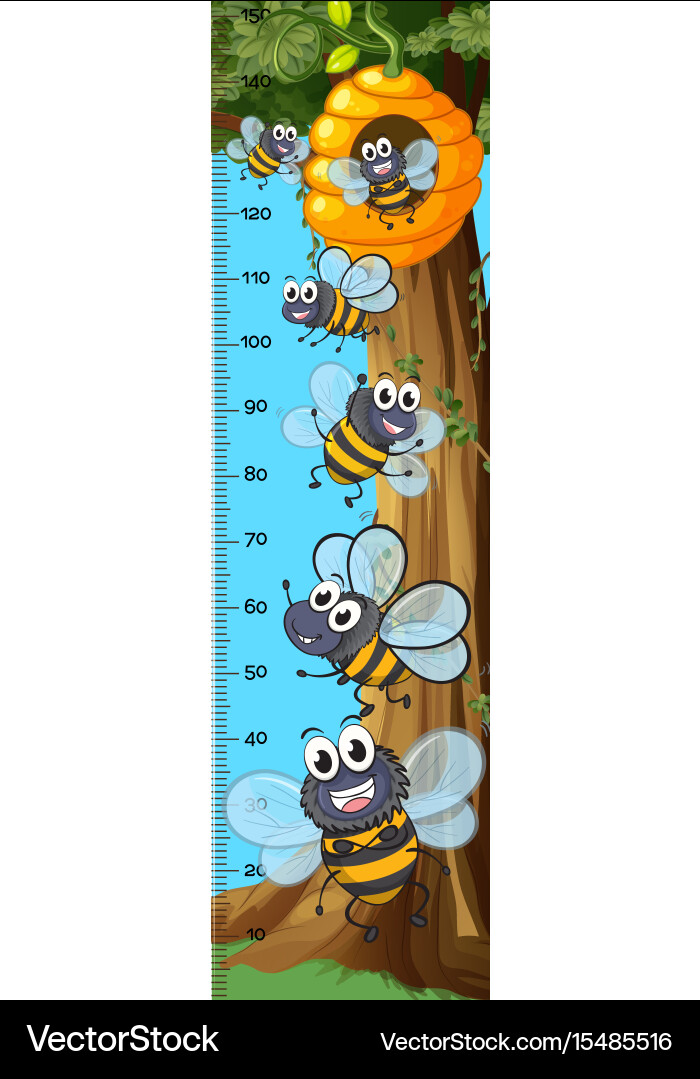 Bee Height Chart - Insect Measurement Tool Vector Image