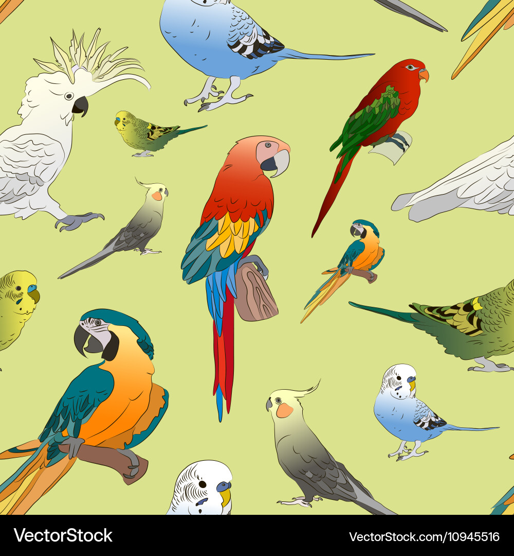 Parrots set pattern Vector Image