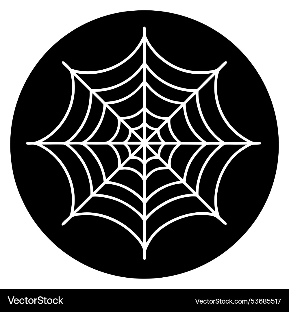 Black background with cobweb spider s web overlay vector image