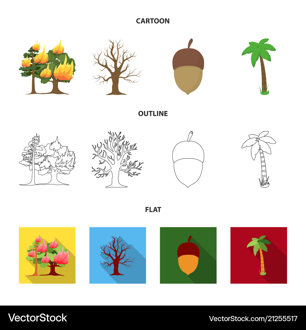 Burning tree palm acorn dry treeforest set Vector Image