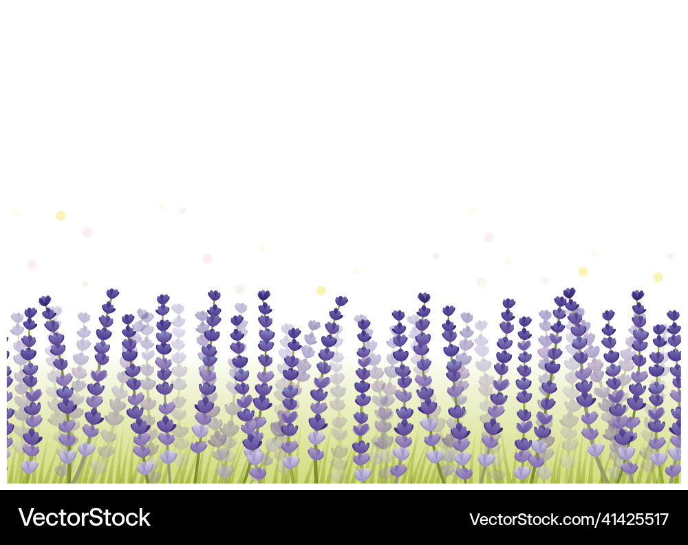 Lavender Seamless Background Vector Image