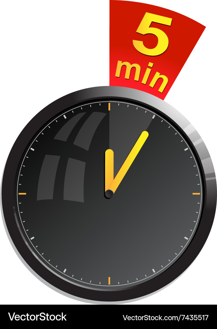Timer 5 minutes Vector Image