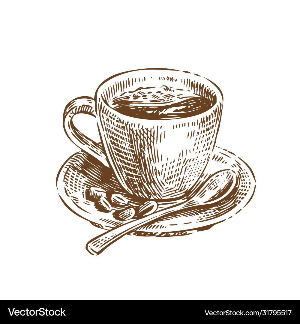 Vintage Coffee Sketch Vector Image