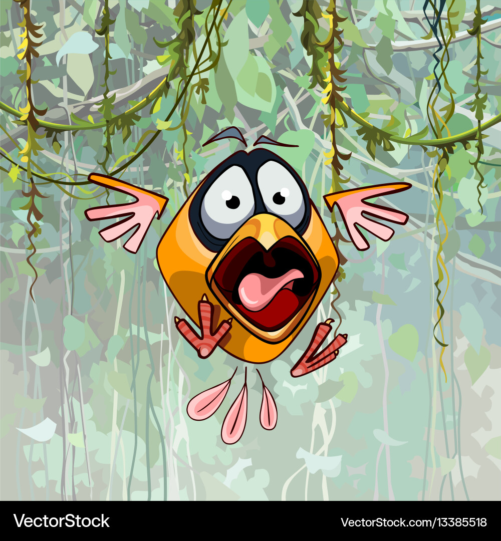 Birds Scared 