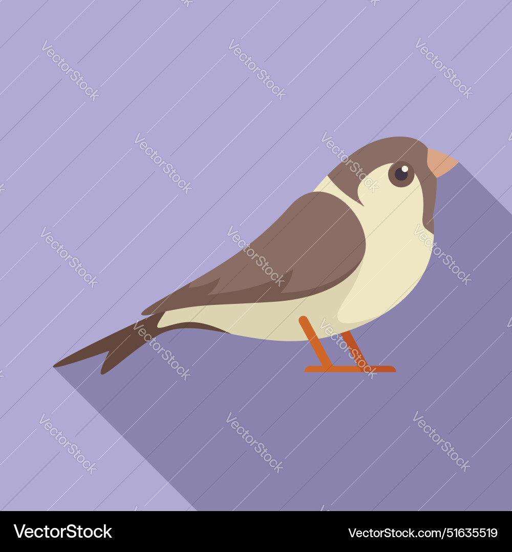 Cute java sparrow bird standing side view Cute java sparrow bird standing side view vector image