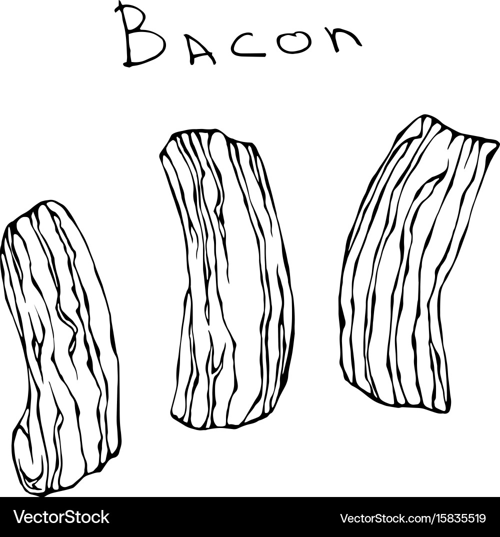 Set of raw sliced bacon realistic Vector Image