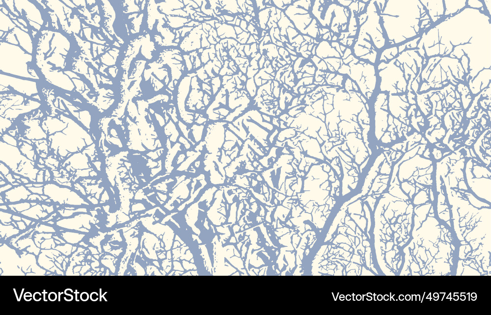 Tree branches with snow in winter texture Vector Image