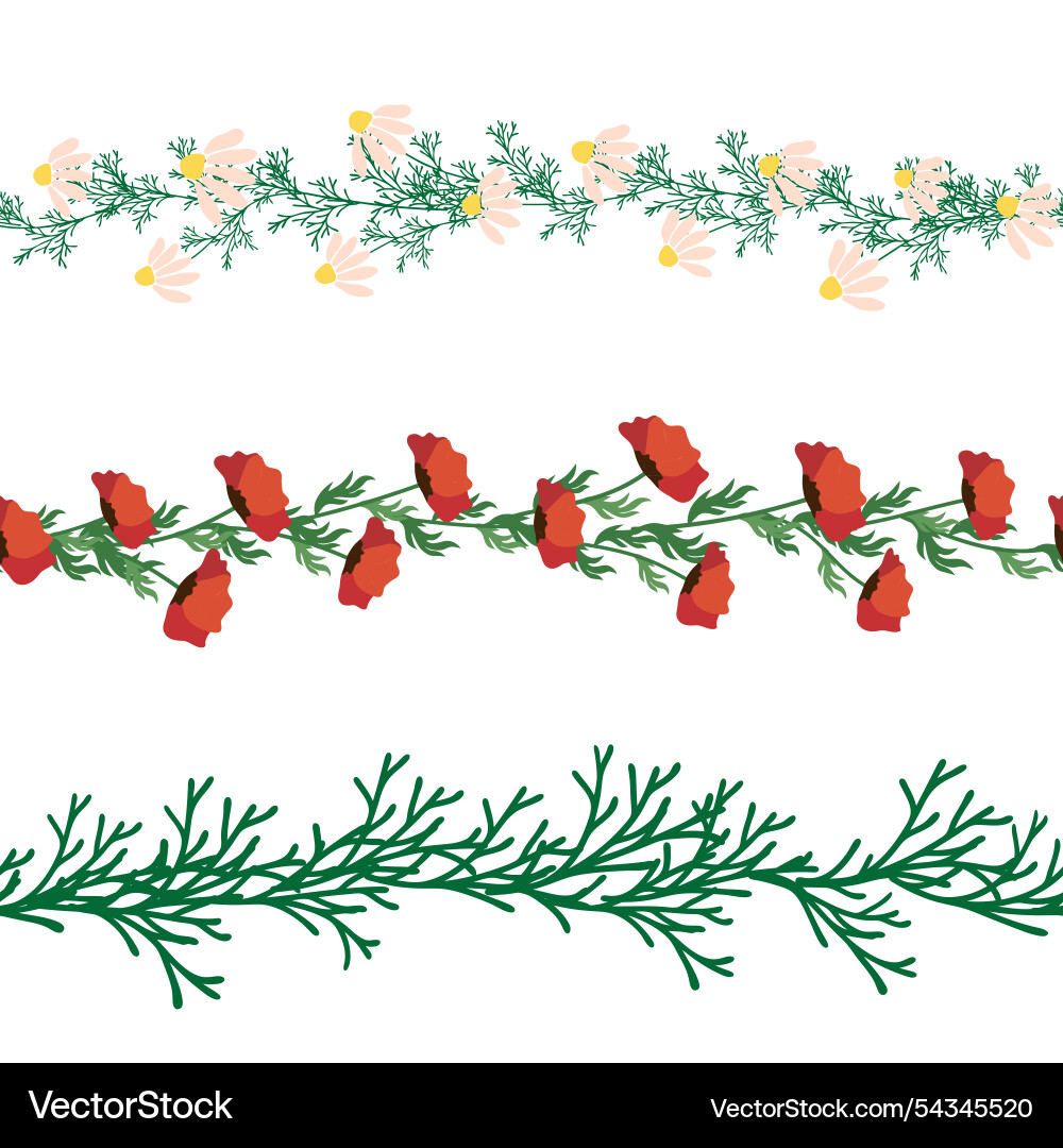 Chamomile horizontal border seamless pattern Vector Image