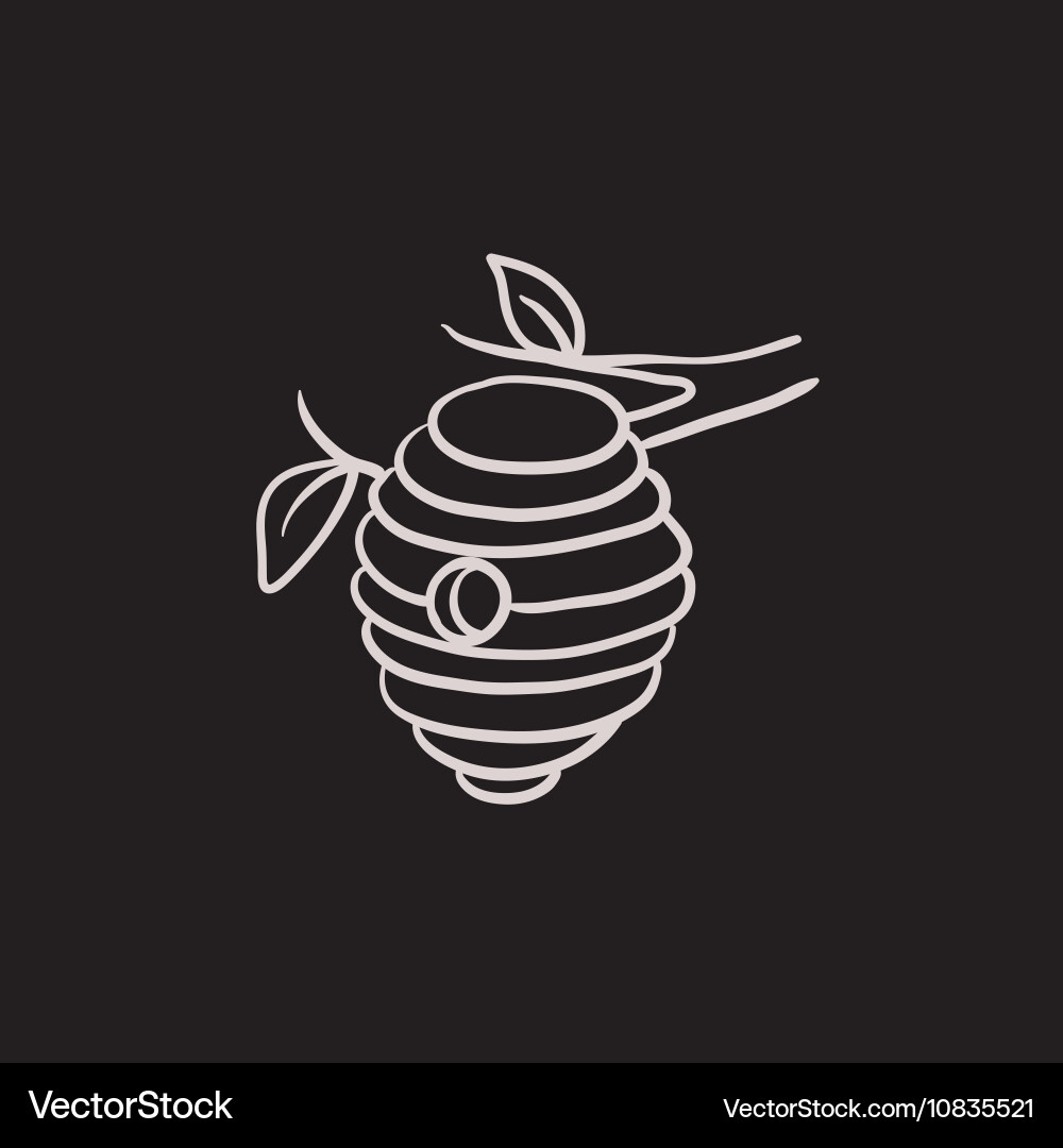 Bee hive sketch icon Vector Image