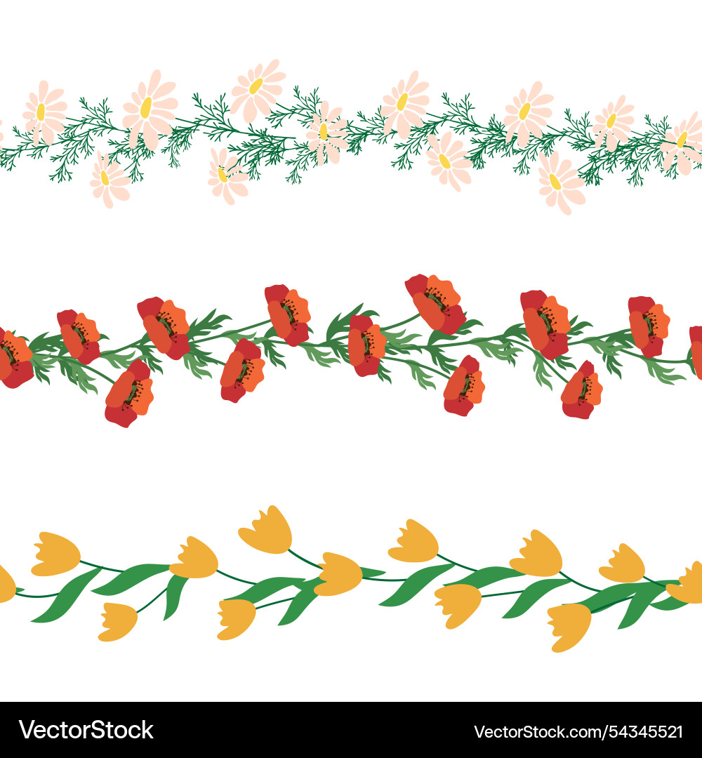 Chamomile horizontal border seamless pattern Vector Image