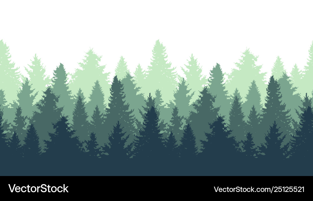 Elegant Fir Trees Pattern vector image