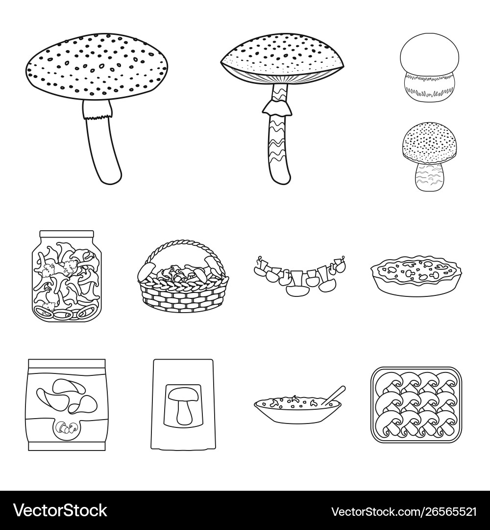 Isolated object forest and fresh symbol set Vector Image