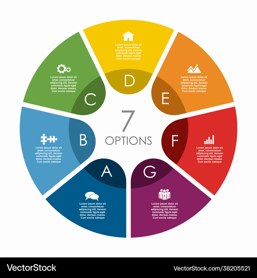 Modern Infographic Template - Data Visualization Vector Image
