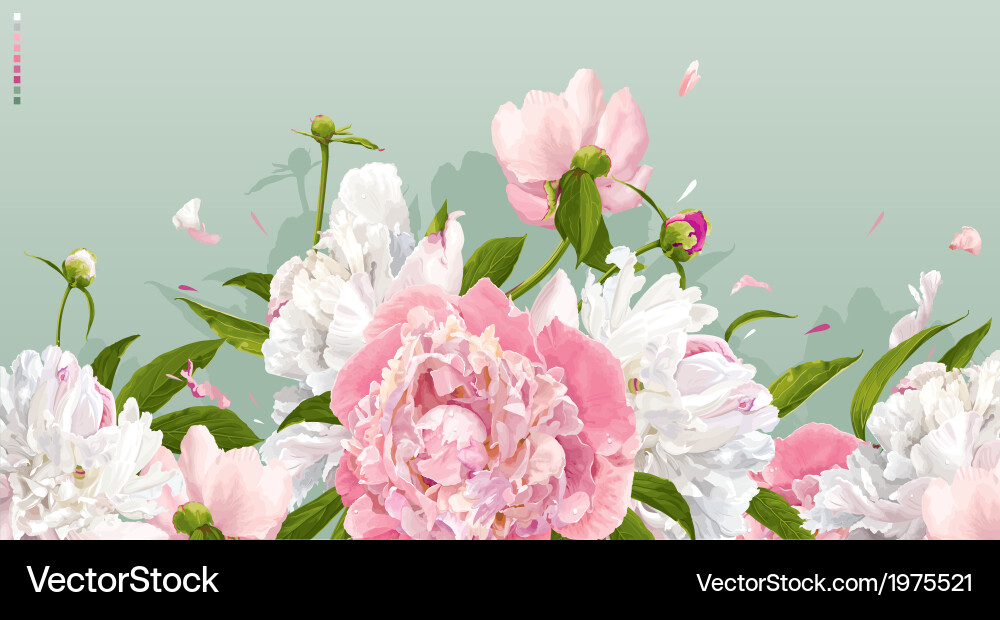 Peony background Royalty Free Vector Image - VectorStock