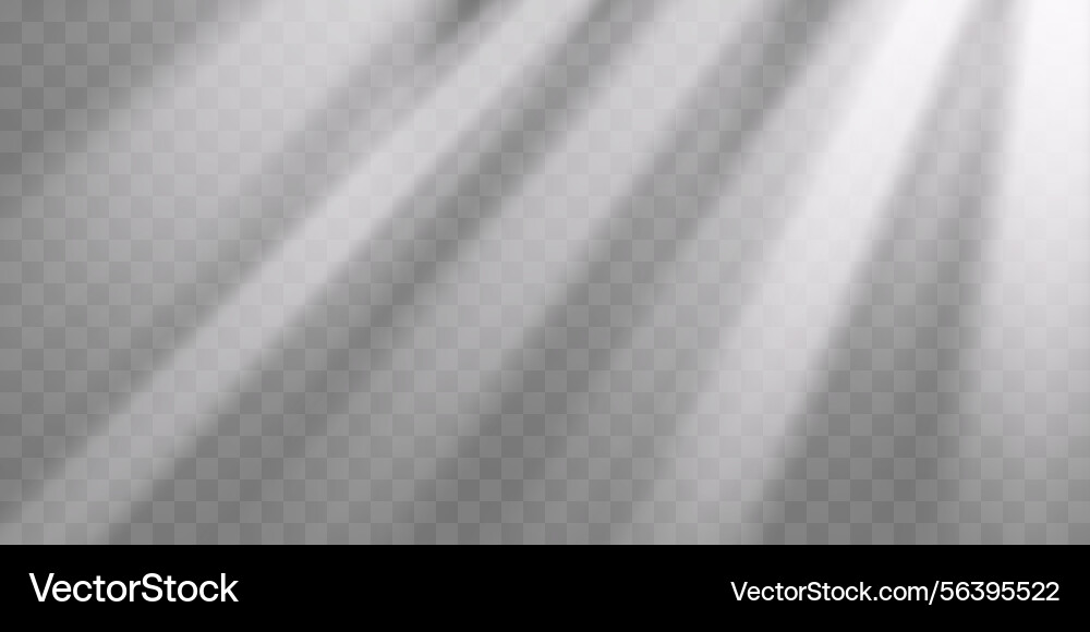 Light rays transparent background realistic Light rays transparent background realistic vector image