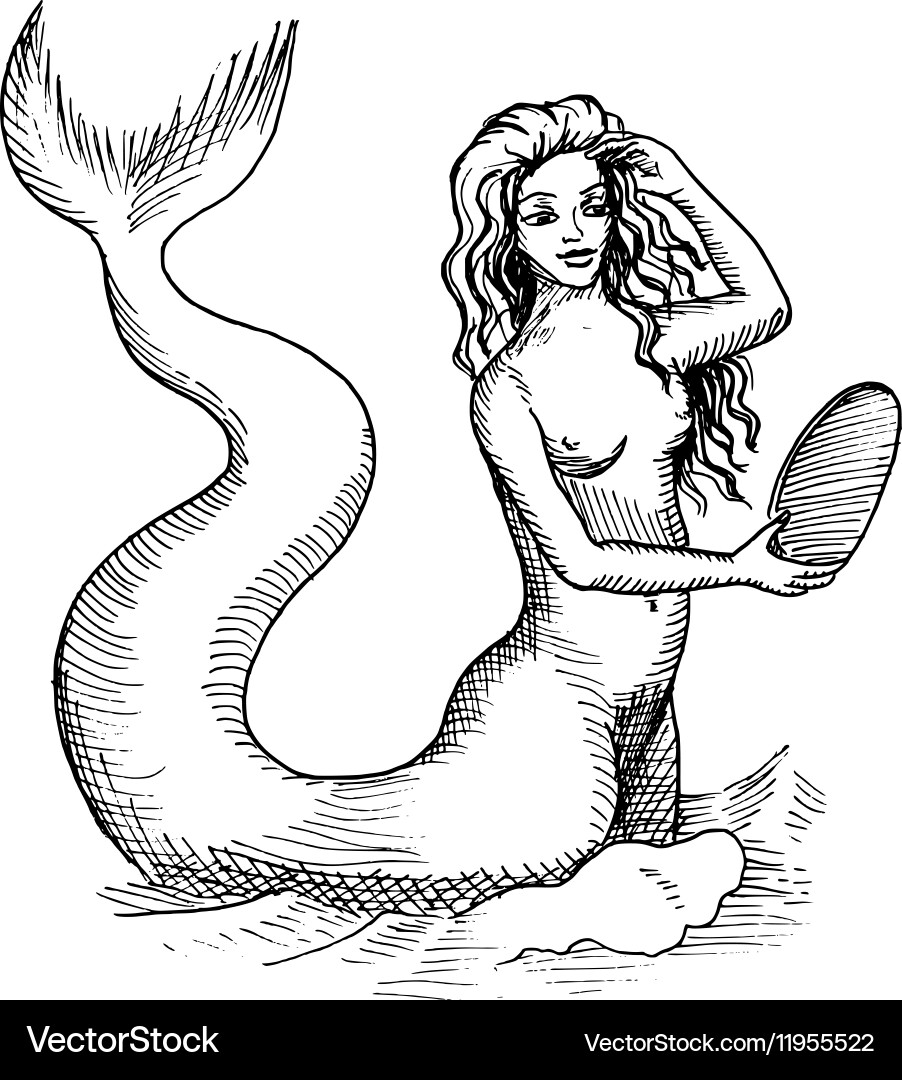 Mystical Mermaid Sketch vector image