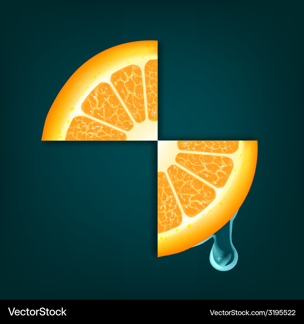 Orange Drop on Segment Background vector image