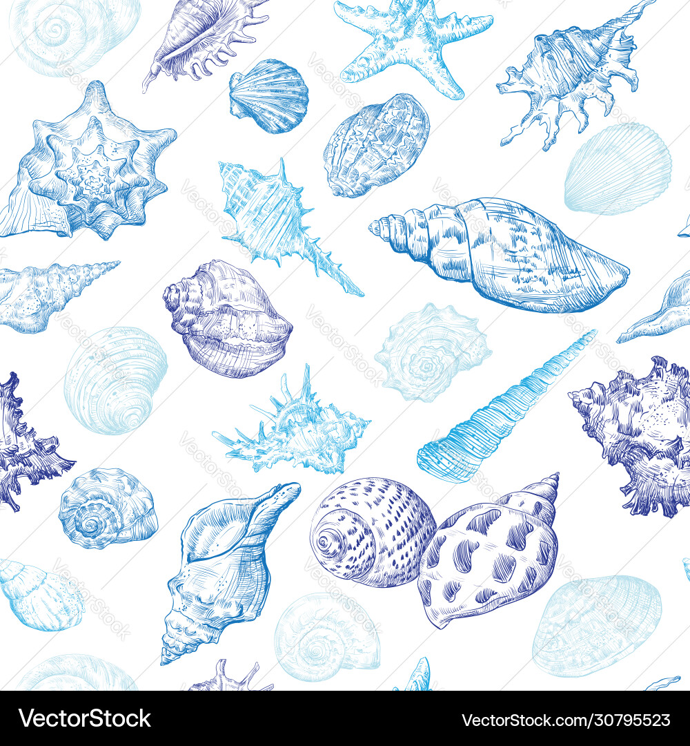 Seashell Pattern - Blue & White vector image