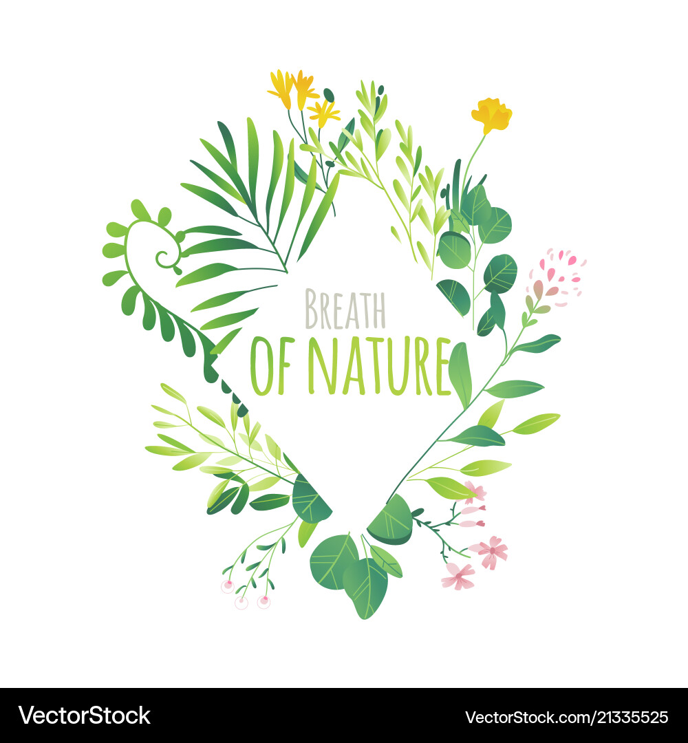 Green Leaf Diamond Frame Vector Image