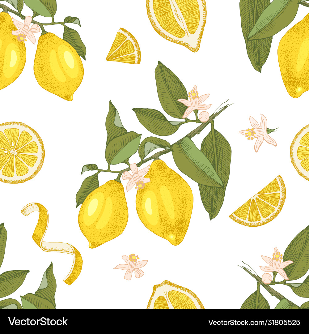 Lemon Branch Pattern - Hand Drawn Royalty Free Vector Image