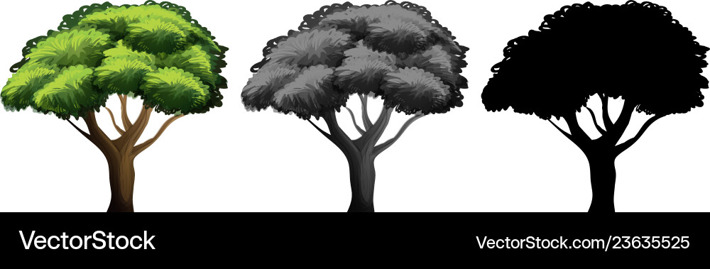 Set of different tree design vector image