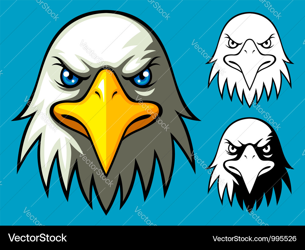 Bald eagle head Royalty Free Vector Image - VectorStock
