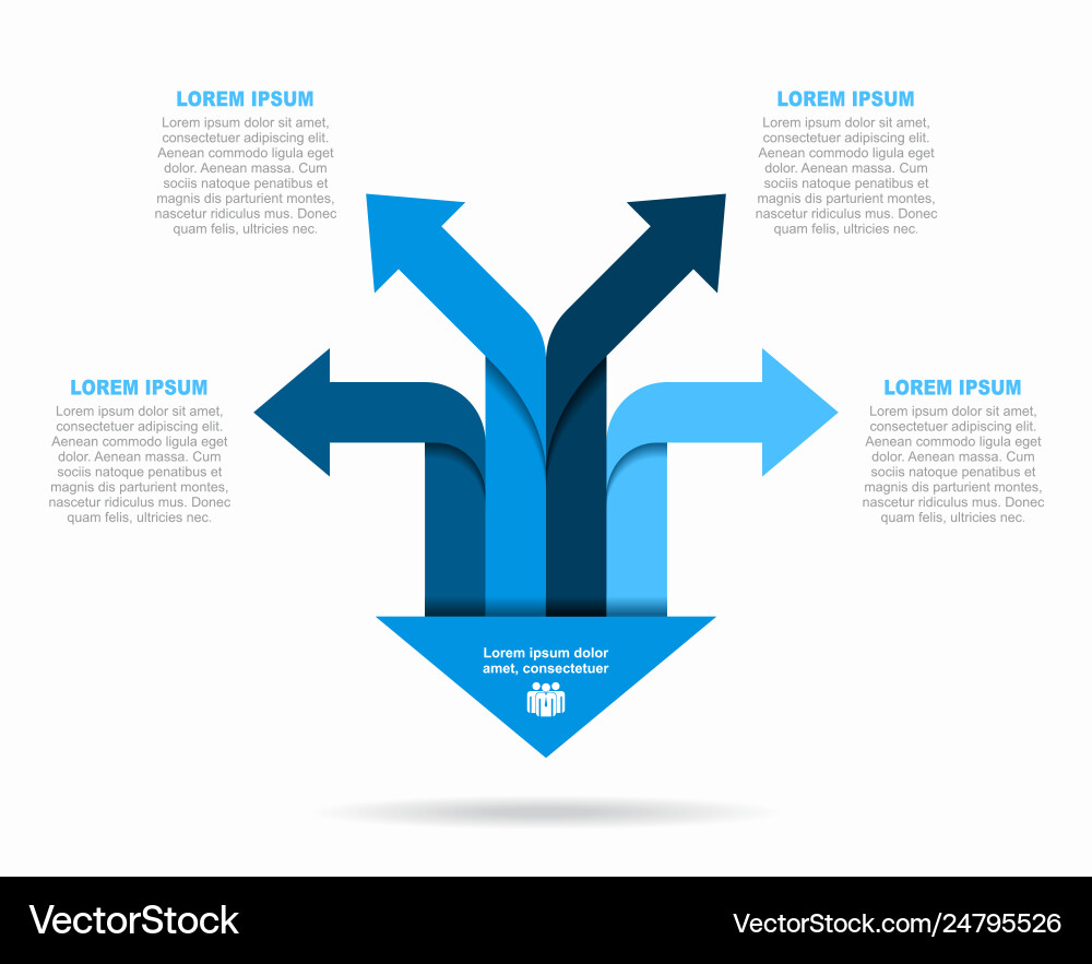 Infographic Template - Data Visualization vector image